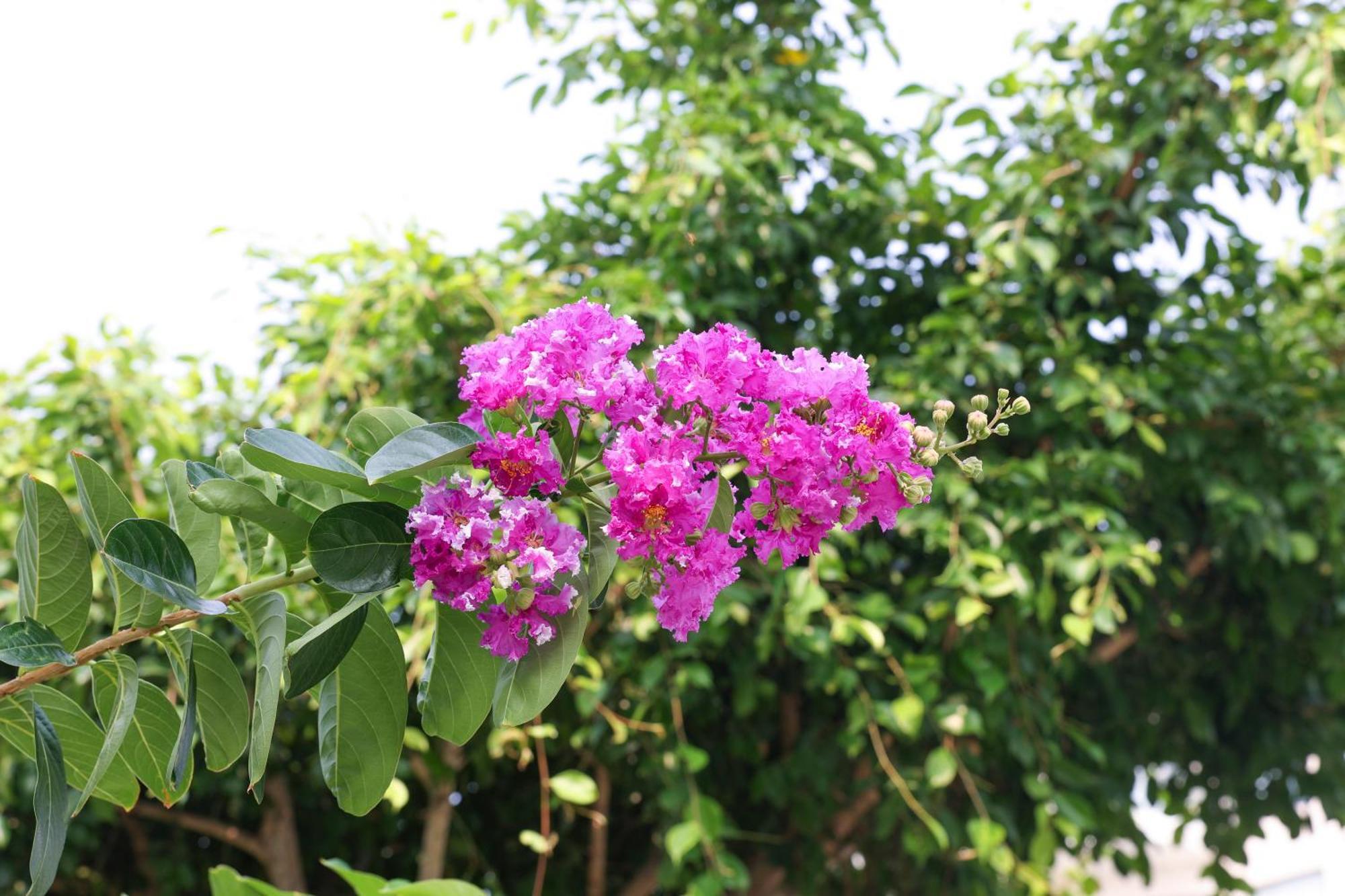 Hoan My Resort - Ninh Chu 판랑 외부 사진