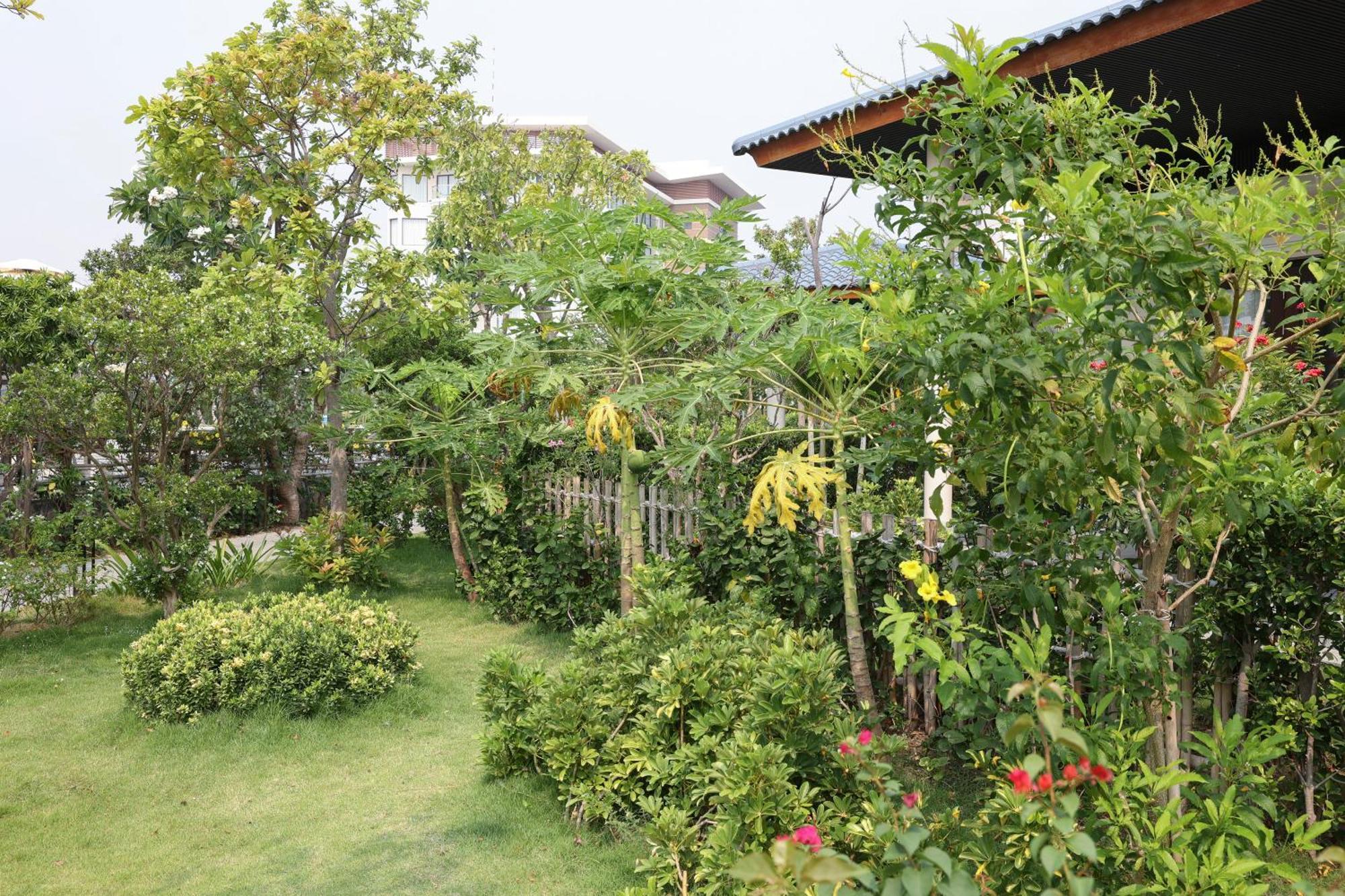 Hoan My Resort - Ninh Chu 판랑 외부 사진